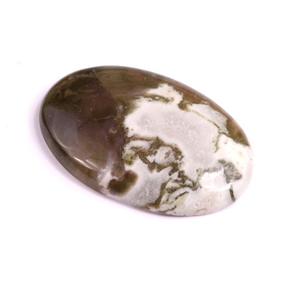 Kabošon Tree Agate č.2591 (43x28x6mm)