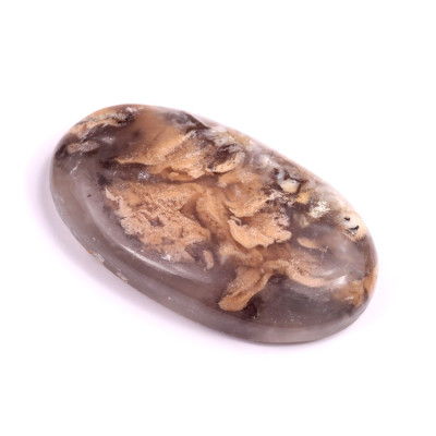 Kabošon Dendrite Tiger č.2729 (46x26x9mm)