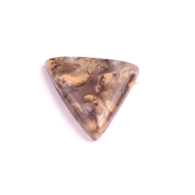 Kabošon Dendrite Tiger č.2738 (30x25x7mm)