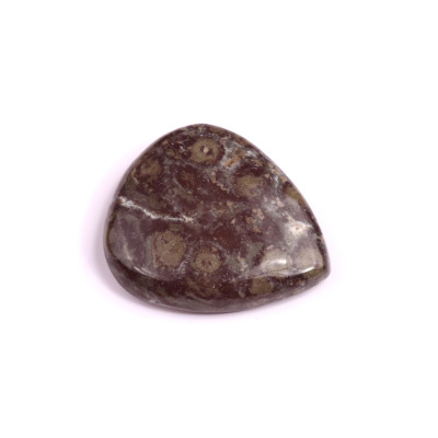 Kabošon Galaxy Star Jasper č.2839 (28x25x6mm)