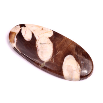 Kabošon Peanut Wood č.2922 (51x24x5mm)