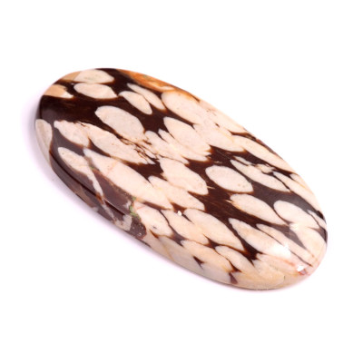 Kabošon Peanut Wood č.2929 (52x26x6mm)