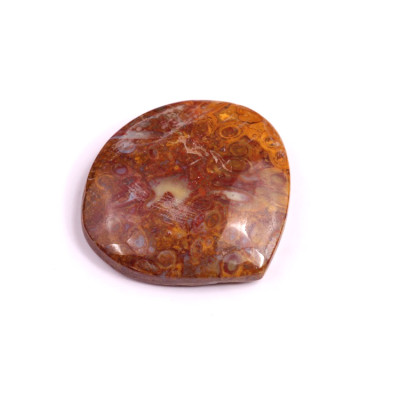 Kabošon Palm Root Fossil č.3009 (29x28x7mm)