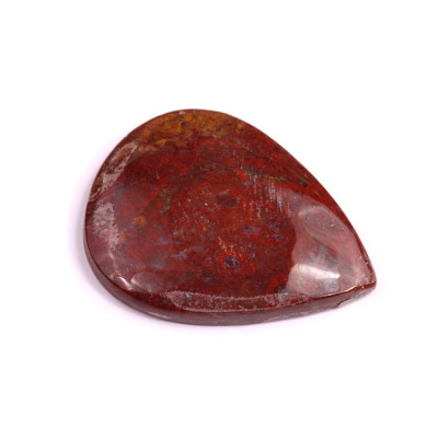 Kabošon Palm Root Fossil č.3010 (36x28x6mm)