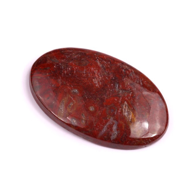 Kabošon Palm Root Fossil č.3011 (41x25x6mm)