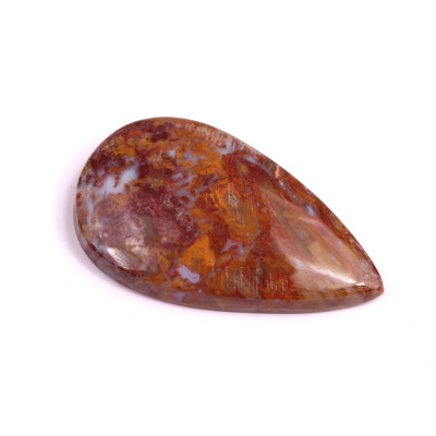 Kabošon Palm Root Fossil č.3013 (39x23x6mm)