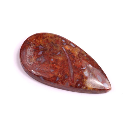 Kabošon Palm Root Fossil č.3014 (42x23x6mm)