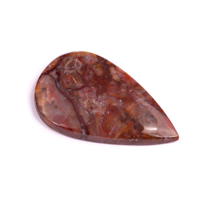 Kabošon Palm Root Fossil č.3018 (39x24x5mm)