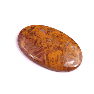 Kabošon Palm Root Fossil č.3019 (39x24x5mm)