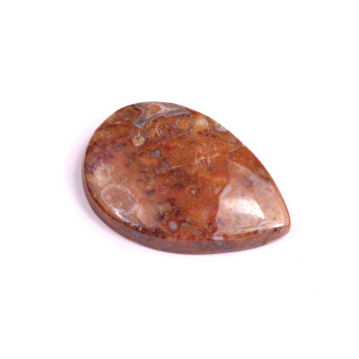 Kabošon Palm Root Fossil č.3021 (32x22x6mm)