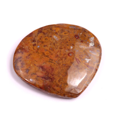 Kabošon Palm Root Fossil č.3022 (39x36x7mm)