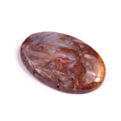 Kabošon Palm Root Fossil č.3025 (39x25x7mm)