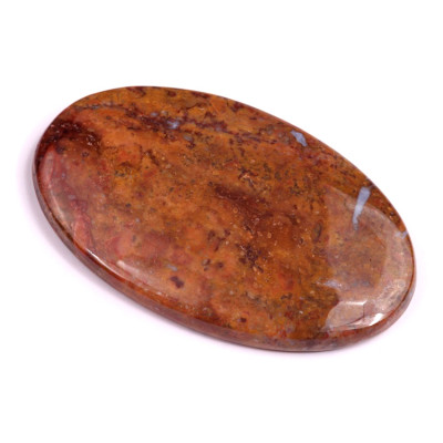 Kabošon Palm Root Fossil č.3027 (48x29x5mm)