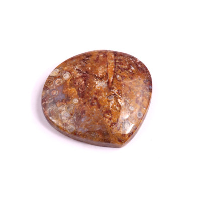 Kabošon Palm Root Fossil č.3028 (30x28x6mm)