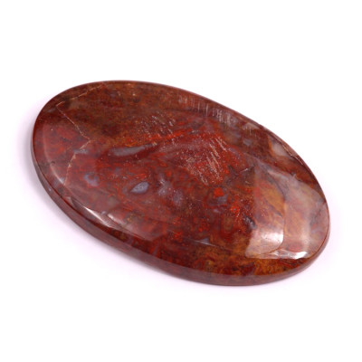 Kabošon Palm Root Fossil č.3029 (46x28x6mm)