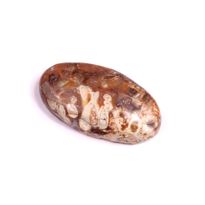 Kabošon Palm Root Fossil č.3030 (33x19x7mm)