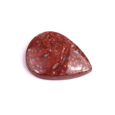 Kabošon Palm Root Fossil č.3031 (31x24x6mm)