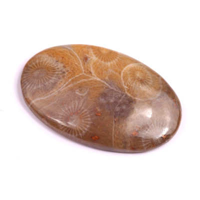 Kabošon Morocco Fossil č.3106 (39x23x7mm)