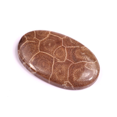 Kabošon Morocco Fossil č.3107 (39x25x6mm)