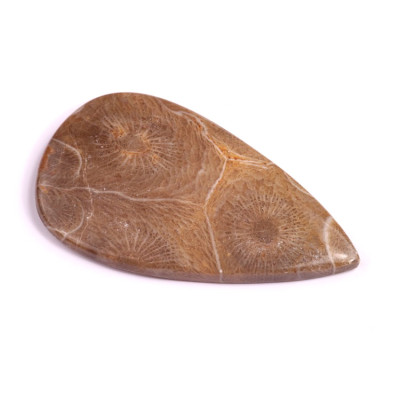 Kabošon Morocco Fossil č.3111 (45x25x4mm)