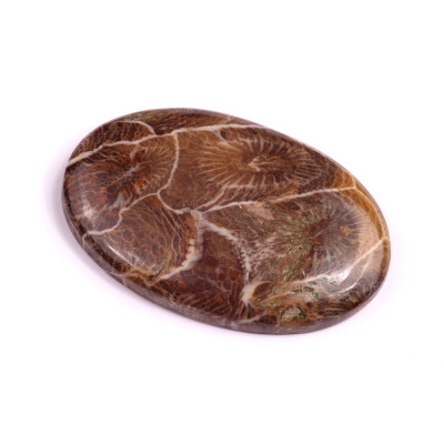 Kabošon Morocco Fossil č.3113 (41x27x6mm)