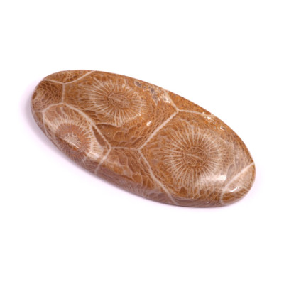 Kabošon Morocco Fossil č.3114 (45x21x6mm)