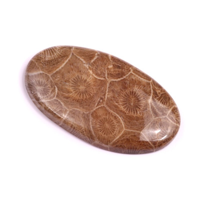 Kabošon Morocco Fossil č.3115 (44x26x5mm)