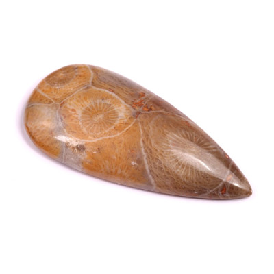 Kabošon Morocco Fossil č.3116 (47x22x7mm)