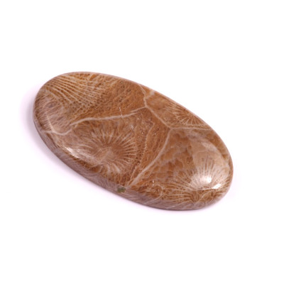 Kabošon Morocco Fossil č.3117 (40x22x6mm)