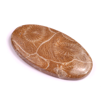 Kabošon Morocco Fossil č.3120 (45x24x6mm)