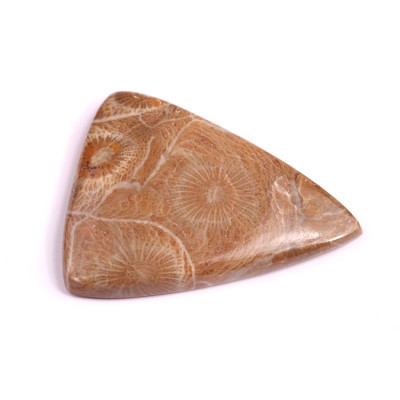 Kabošon Morocco Fossil č.3121 (39x31x5mm)