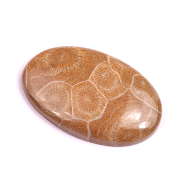 Kabošon Morocco Fossil č.3122 (40x26x6mm)