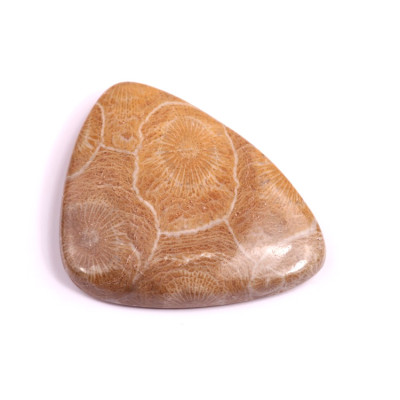 Kabošon Morocco Fossil č.3124 (38x30x6mm)