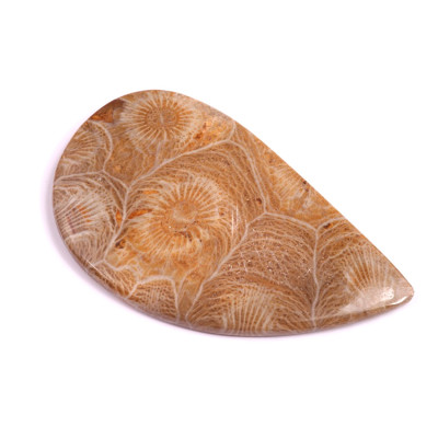 Kabošon Morocco Fossil č.3126 (54x32x4mm)