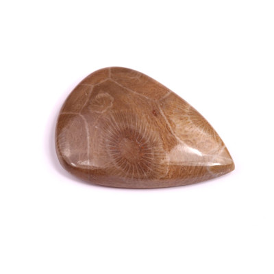 Kabošon Morocco Fossil č.3127 (35x25x7mm)