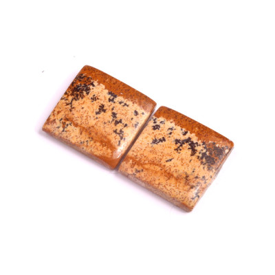 Kabošony páry Picture Jasper č.P477 (18x17x4mm)