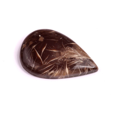 Kabošon Feather Agate č.3386 (39x26x6mm)