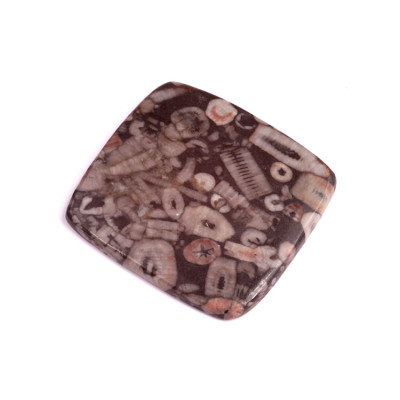 Kabošon Kammererite Fossil č.3440 (40x38x4mm)