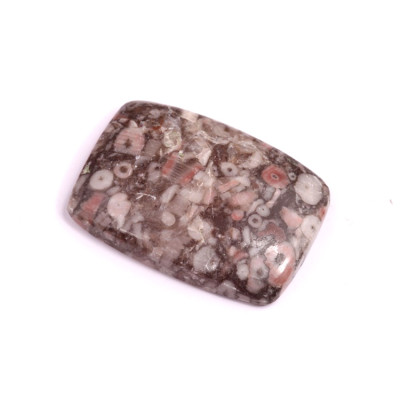 Kabošon Kammererite Fossil č.3444 (33x24x6mm)