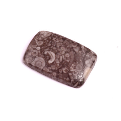 Kabošon Kammererite Fossil č.3445 (32x22x5mm)