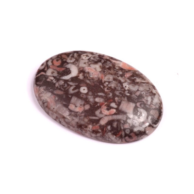 Kabošon Kammererite Fossil č.3446 (38x26x6mm)