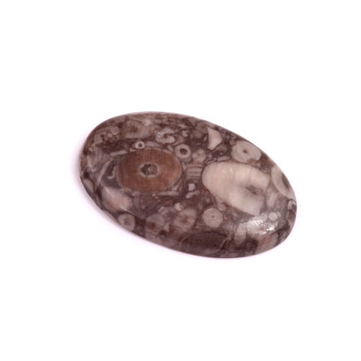 Kabošon Kammererite Fossil č.3452 (35x22x5mm)