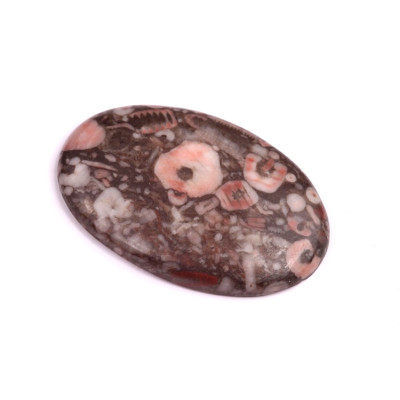 Kabošon Kammererite Fossil č.3457 (40x26x5mm)