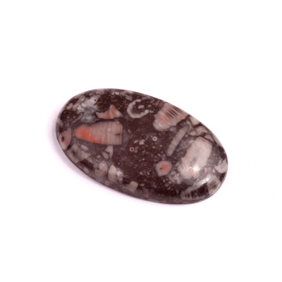 Kabošon Kammererite Fossil č.3458 (35x21x6mm)