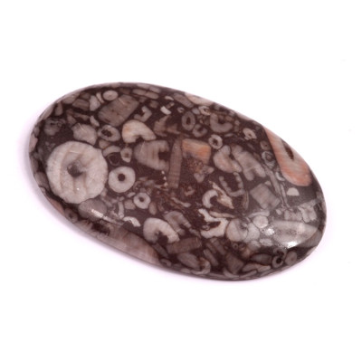 Kabošon Kammererite Fossil č.3460 (48x29x7mm)