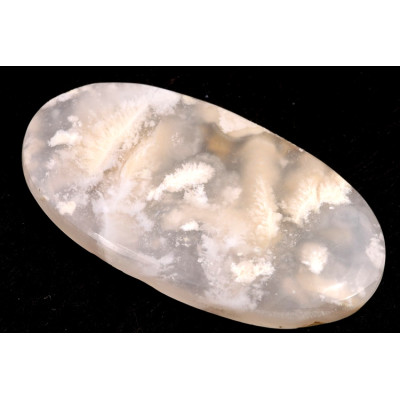 Kabošon White Feather Agate č.3488 (53x28x6mm)