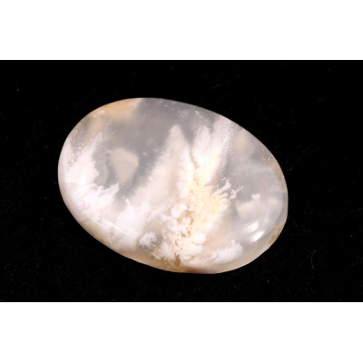 Kabošon White Feather Agate č.3503 (35x27x6mm)