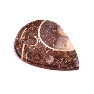 Kabošon Colus Fossil č.243 (54x39x6mm)