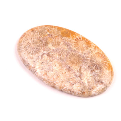 Kabošon Fossil Coral č.2077 (55x34x6mm)