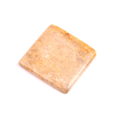 Kabošon Fossil Coral č.2083 (39x40x6mm)